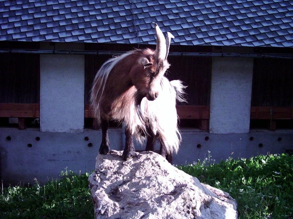 Hinterramsebn Vorderstoder Exterior foto